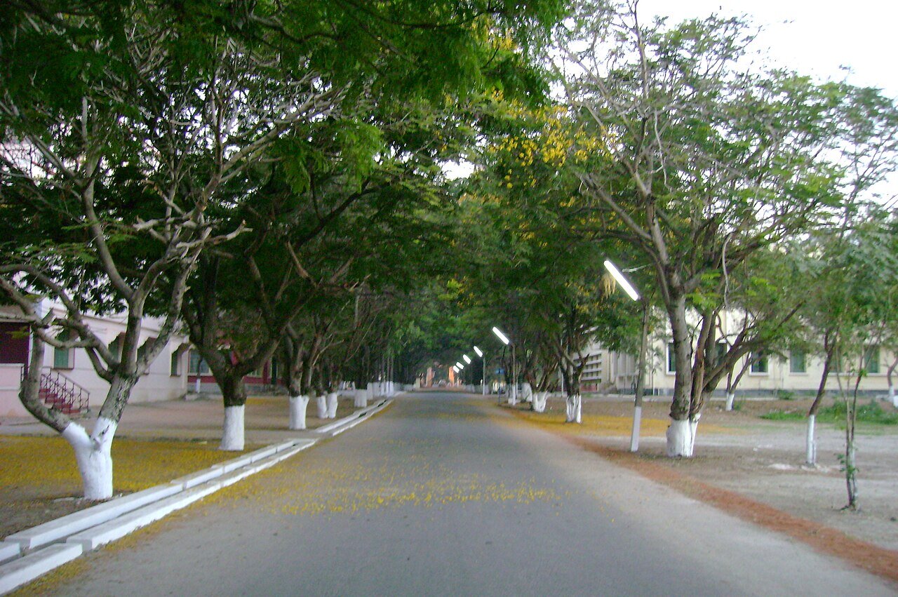 Tree-lined avenue on campus — Coimbatore Institute of Technology