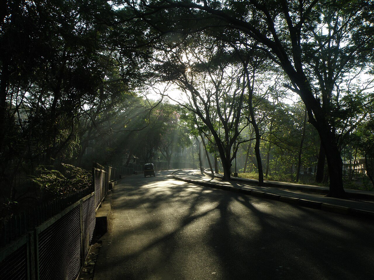 The main campus road at dawn — Indian Institute of Technology Bombay